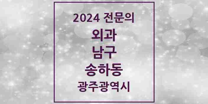 2024 송하동 외과 전문의 의원·병원 모음 1곳 | 광주광역시 남구 추천 리스트