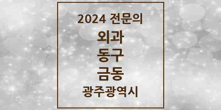 2024 금동 외과 전문의 의원·병원 모음 1곳 | 광주광역시 동구 추천 리스트