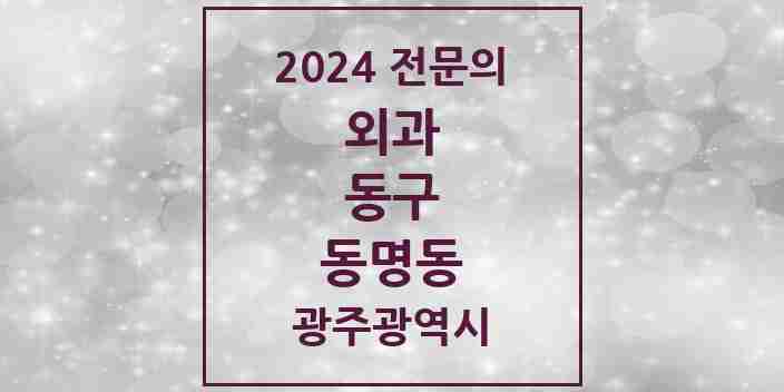 2024 동명동 외과 전문의 의원·병원 모음 1곳 | 광주광역시 동구 추천 리스트