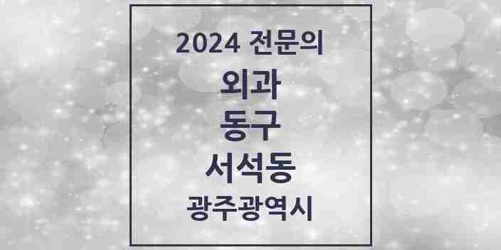 2024 서석동 외과 전문의 의원·병원 모음 1곳 | 광주광역시 동구 추천 리스트