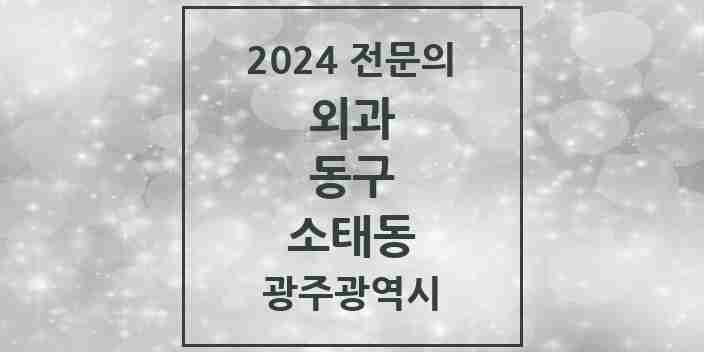 2024 소태동 외과 전문의 의원·병원 모음 2곳 | 광주광역시 동구 추천 리스트