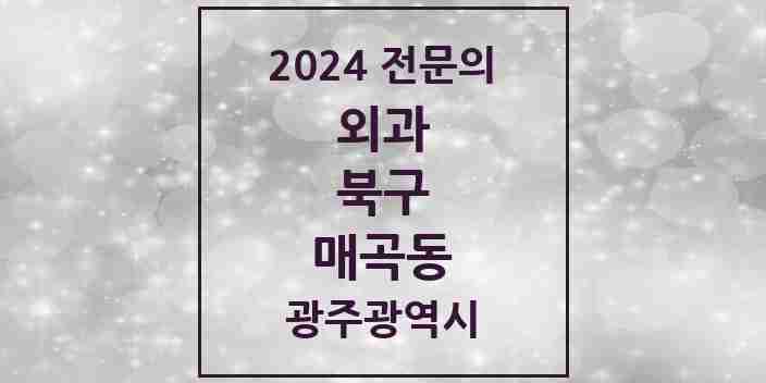 2024 매곡동 외과 전문의 의원·병원 모음 1곳 | 광주광역시 북구 추천 리스트