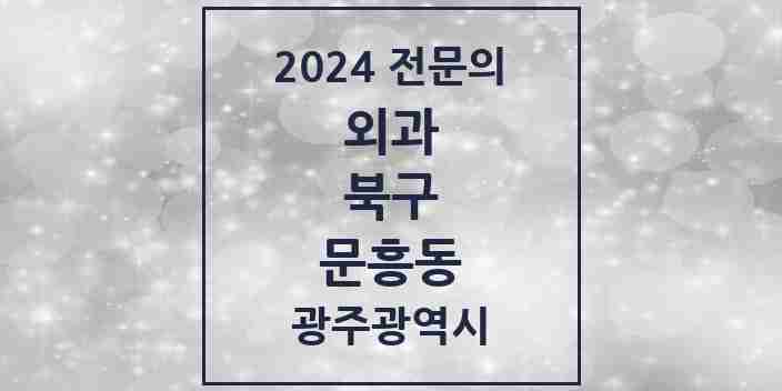 2024 문흥동 외과 전문의 의원·병원 모음 2곳 | 광주광역시 북구 추천 리스트