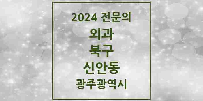 2024 신안동 외과 전문의 의원·병원 모음 2곳 | 광주광역시 북구 추천 리스트