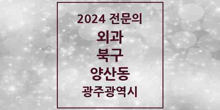 2024 양산동 외과 전문의 의원·병원 모음 1곳 | 광주광역시 북구 추천 리스트