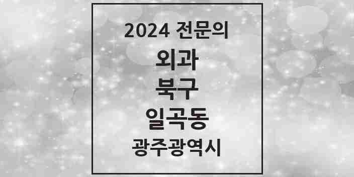 2024 일곡동 외과 전문의 의원·병원 모음 1곳 | 광주광역시 북구 추천 리스트