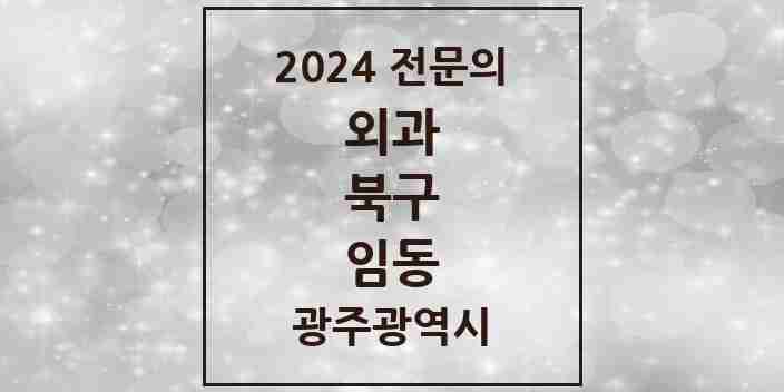 2024 임동 외과 전문의 의원·병원 모음 1곳 | 광주광역시 북구 추천 리스트