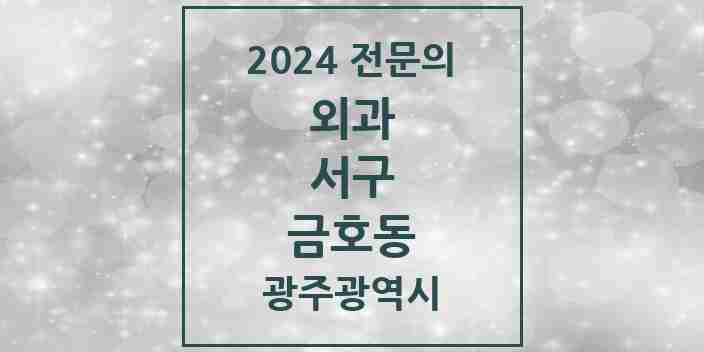 2024 금호동 외과 전문의 의원·병원 모음 1곳 | 광주광역시 서구 추천 리스트