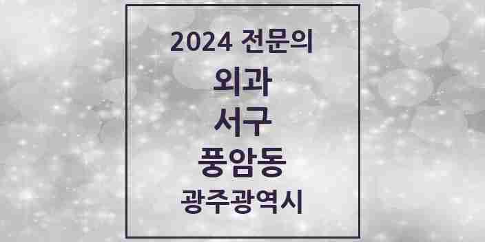 2024 풍암동 외과 전문의 의원·병원 모음 1곳 | 광주광역시 서구 추천 리스트