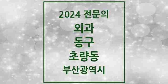 2024 초량동 외과 전문의 의원·병원 모음 1곳 | 부산광역시 동구 추천 리스트