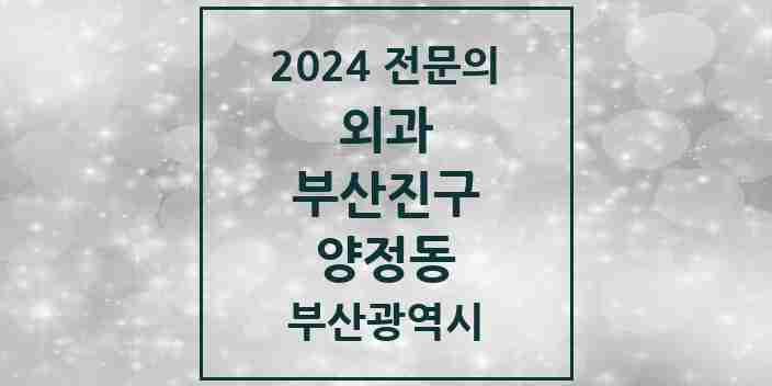 2024 양정동 외과 전문의 의원·병원 모음 1곳 | 부산광역시 부산진구 추천 리스트