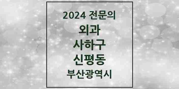 2024 신평동 외과 전문의 의원·병원 모음 2곳 | 부산광역시 사하구 추천 리스트