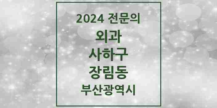 2024 장림동 외과 전문의 의원·병원 모음 4곳 | 부산광역시 사하구 추천 리스트