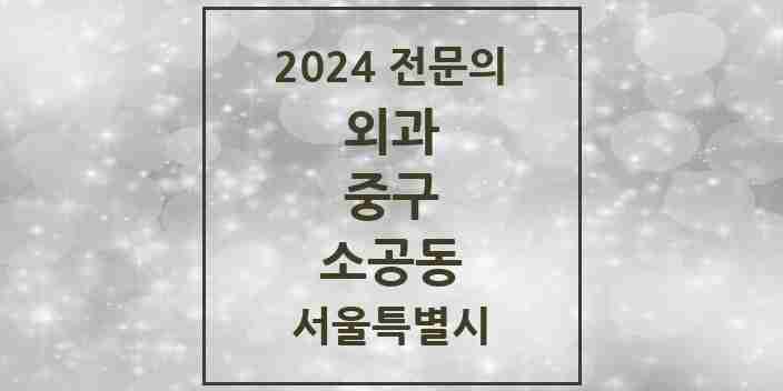 2024 소공동 외과 전문의 의원·병원 모음 | 서울특별시 중구 리스트