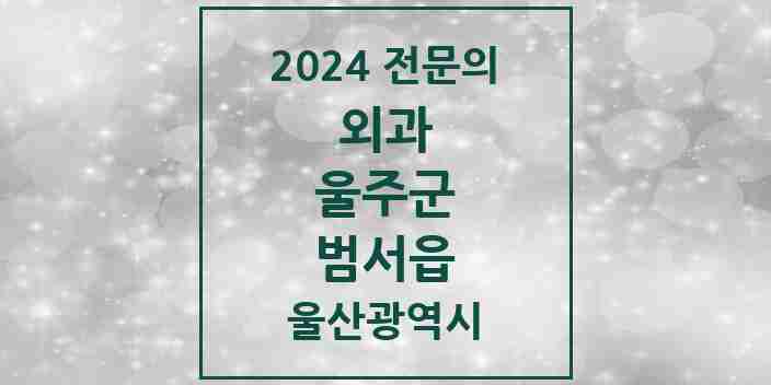 2024 범서읍 외과 전문의 의원·병원 모음 | 울산광역시 울주군 리스트