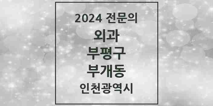 2024 부개동 외과 전문의 의원·병원 모음 1곳 | 인천광역시 부평구 추천 리스트