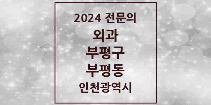 2024 부평동 외과 전문의 의원·병원 모음 18곳 | 인천광역시 부평구 추천 리스트