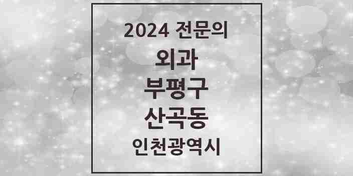 2024 산곡동 외과 전문의 의원·병원 모음 3곳 | 인천광역시 부평구 추천 리스트