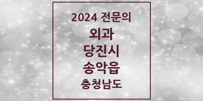 2024 송악읍 외과 전문의 의원·병원 모음 2곳 | 충청남도 당진시 추천 리스트