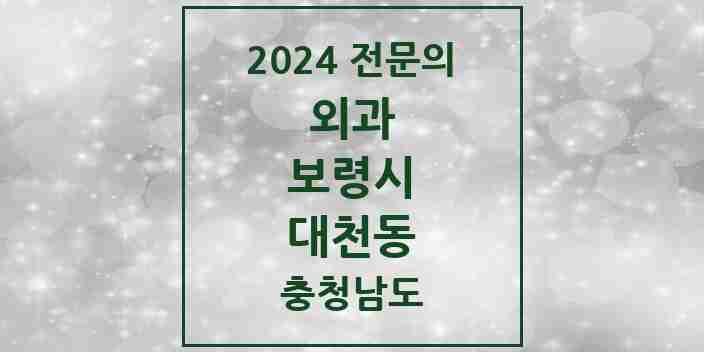 2024 대천동 외과 전문의 의원·병원 모음 5곳 | 충청남도 보령시 추천 리스트