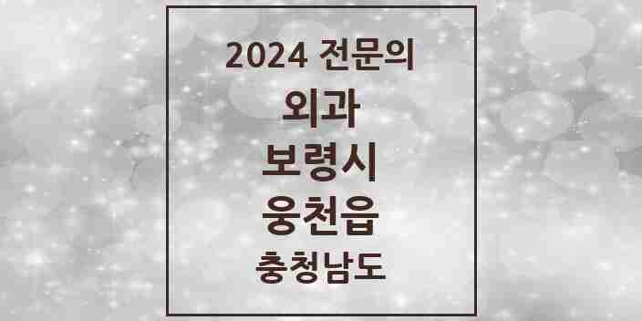 2024 웅천읍 외과 전문의 의원·병원 모음 1곳 | 충청남도 보령시 추천 리스트