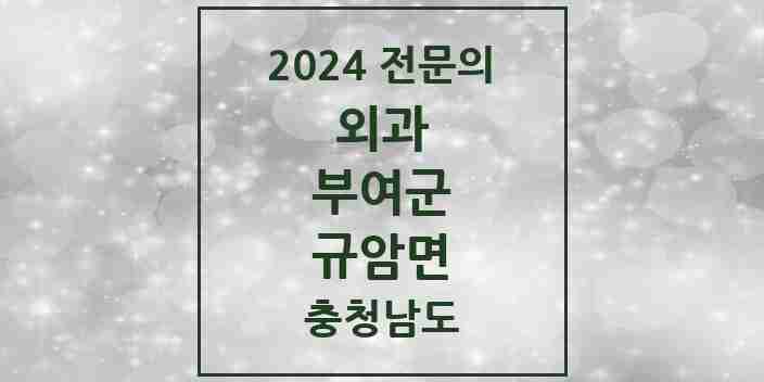 2024 규암면 외과 전문의 의원·병원 모음 1곳 | 충청남도 부여군 추천 리스트