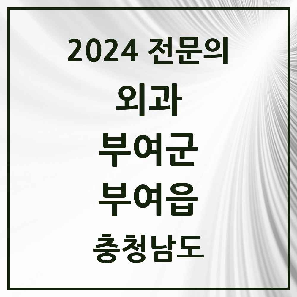 2024 부여읍 외과 전문의 의원·병원 모음 1곳 | 충청남도 부여군 추천 리스트