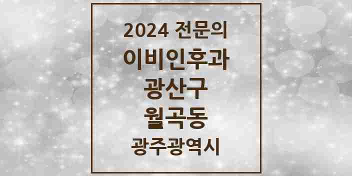 2024 월곡동 이비인후과 전문의 의원·병원 모음 2곳 | 광주광역시 광산구 추천 리스트