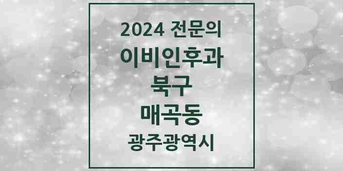 2024 매곡동 이비인후과 전문의 의원·병원 모음 | 광주광역시 북구 리스트