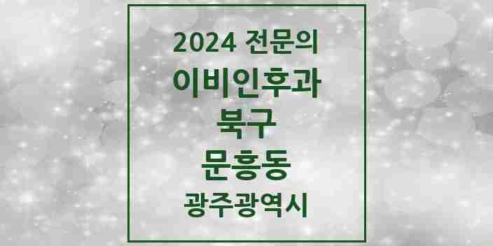 2024 문흥동 이비인후과 전문의 의원·병원 모음 | 광주광역시 북구 리스트