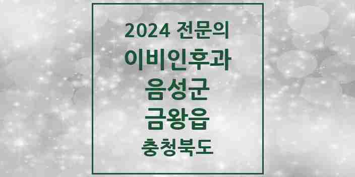 2024 금왕읍 이비인후과 전문의 의원·병원 모음 1곳 | 충청북도 음성군 추천 리스트