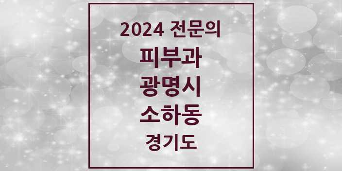 2024 소하동 피부과 전문의 의원·병원 모음 2곳 | 경기도 광명시 추천 리스트