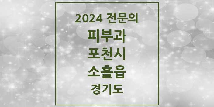 2024 소흘읍 피부과 전문의 의원·병원 모음 2곳 | 경기도 포천시 추천 리스트