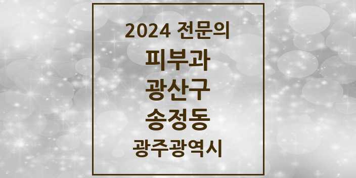 2024 송정동 피부과 전문의 의원·병원 모음 2곳 | 광주광역시 광산구 추천 리스트