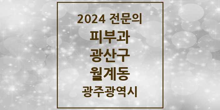 2024 월계동 피부과 전문의 의원·병원 모음 2곳 | 광주광역시 광산구 추천 리스트