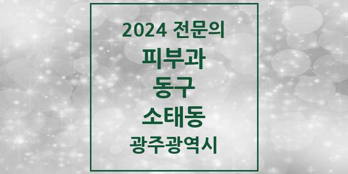 2024 소태동 피부과 전문의 의원·병원 모음 1곳 | 광주광역시 동구 추천 리스트