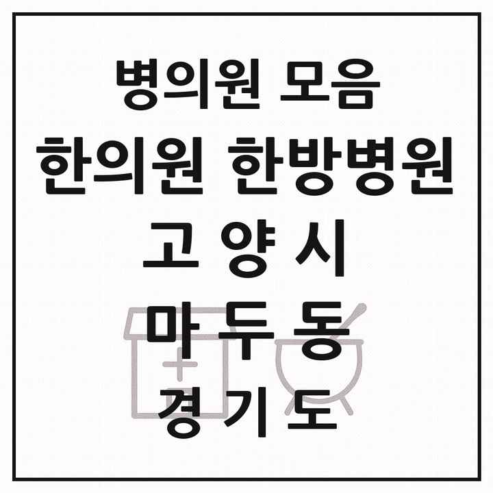 2026 경기도 고양시 마두동 한의원·한방병원 목록 13곳