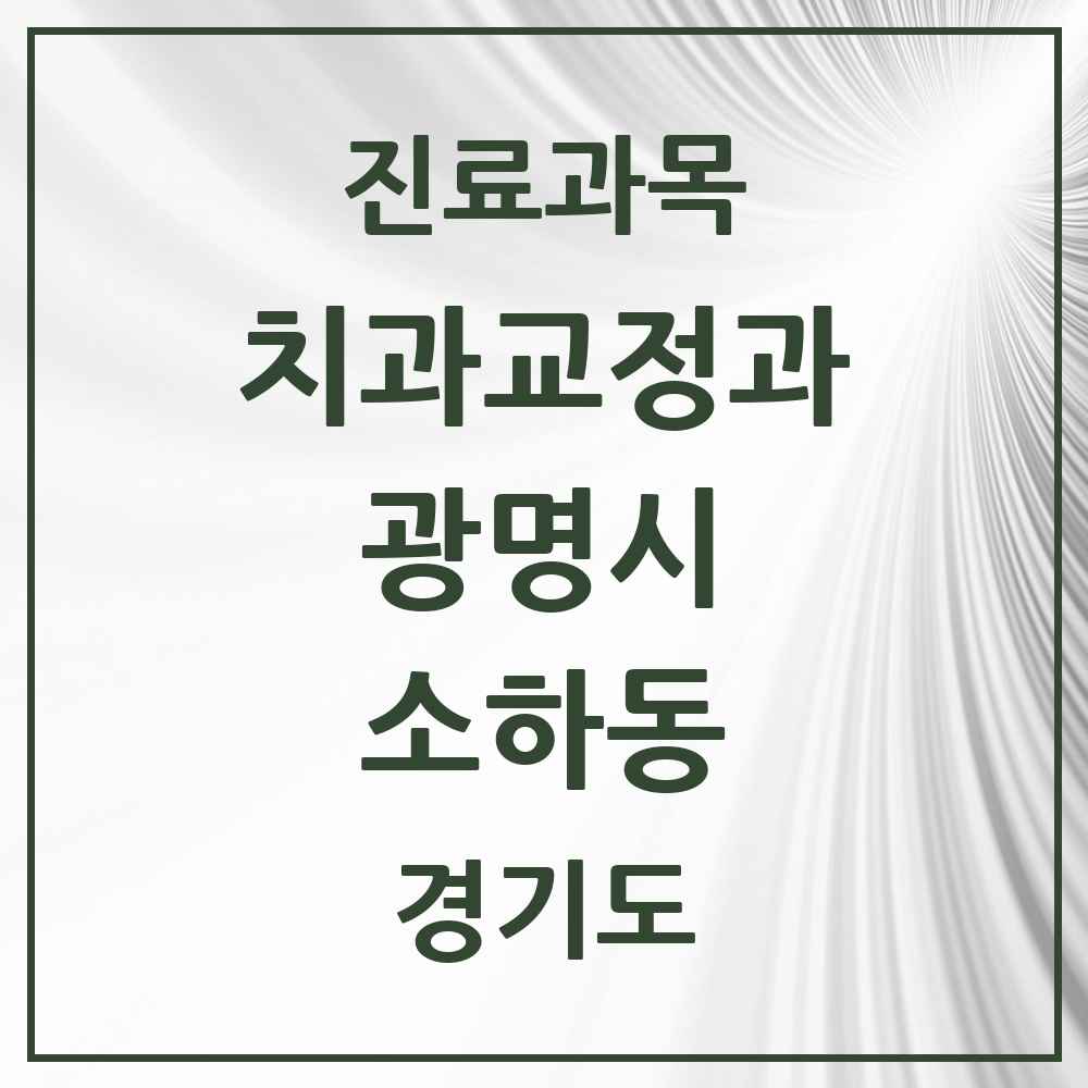 2025 경기도 광명시 소하동 교정치과 목록 16곳