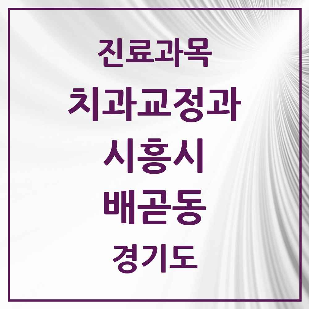 2025 경기도 시흥시 배곧동 교정치과 목록 5곳