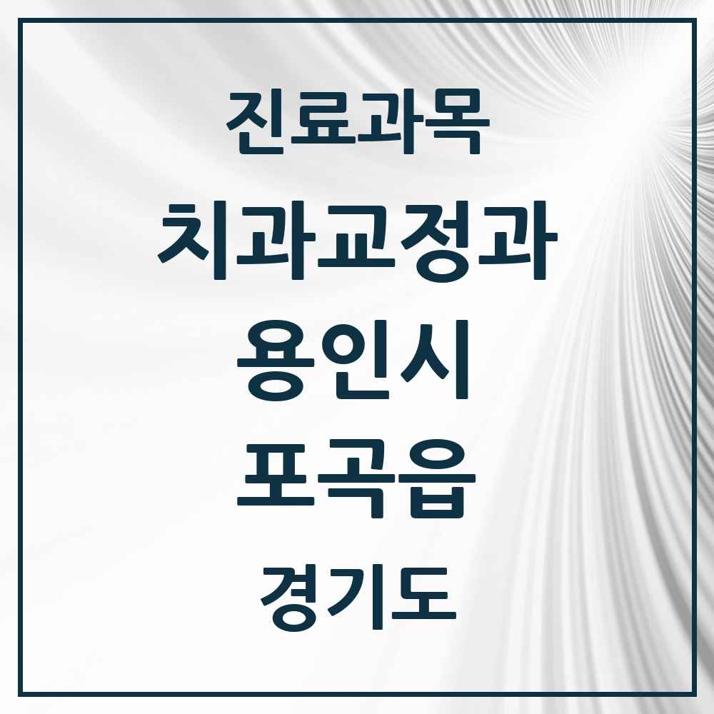 2025 경기도 용인시 포곡읍 교정치과 목록 3곳