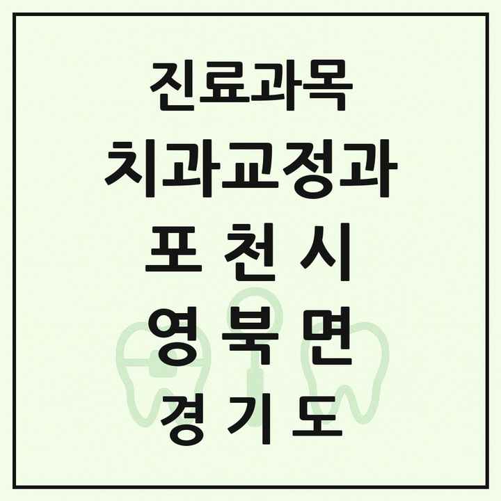 2026 경기도 포천시 영북면 교정치과 목록 1곳