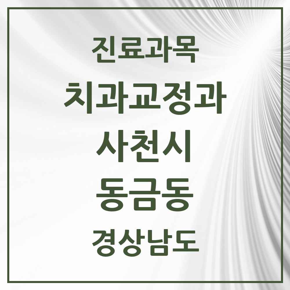 2025 경상남도 사천시 동금동 교정치과 목록 1곳