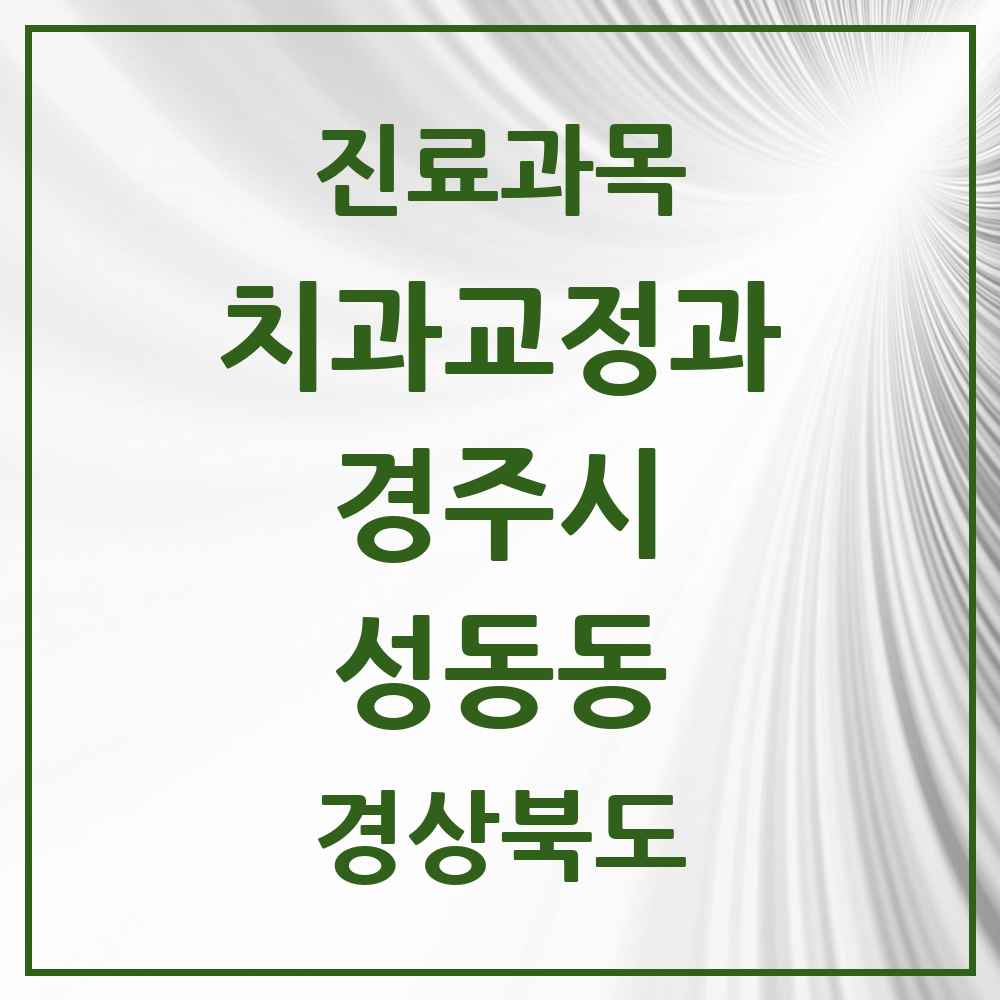 2025 경상북도 경주시 성동동 교정치과 목록 9곳