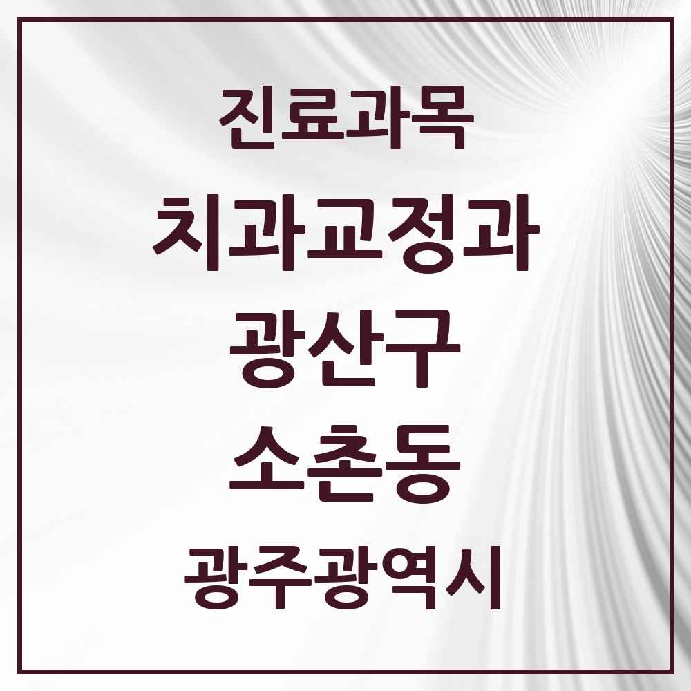 2025 광주광역시 광산구 소촌동 교정치과 목록 2곳