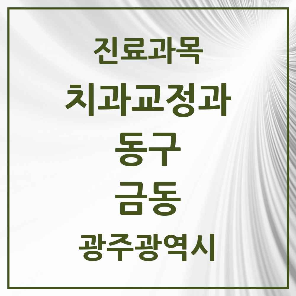 2025 금동 교정치과 모음 1곳 | 광주광역시 동구 추천 리스트