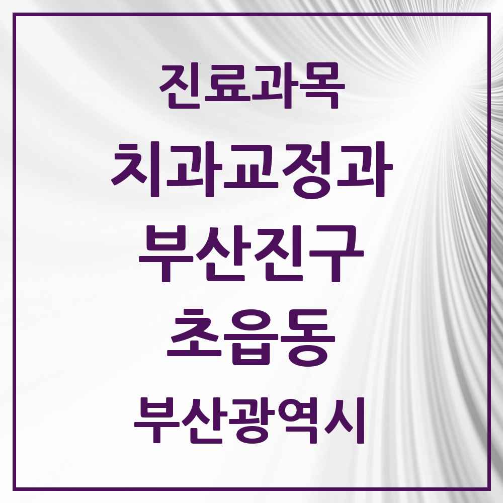 2025 부산광역시 부산진구 초읍동 교정치과 목록 4곳
