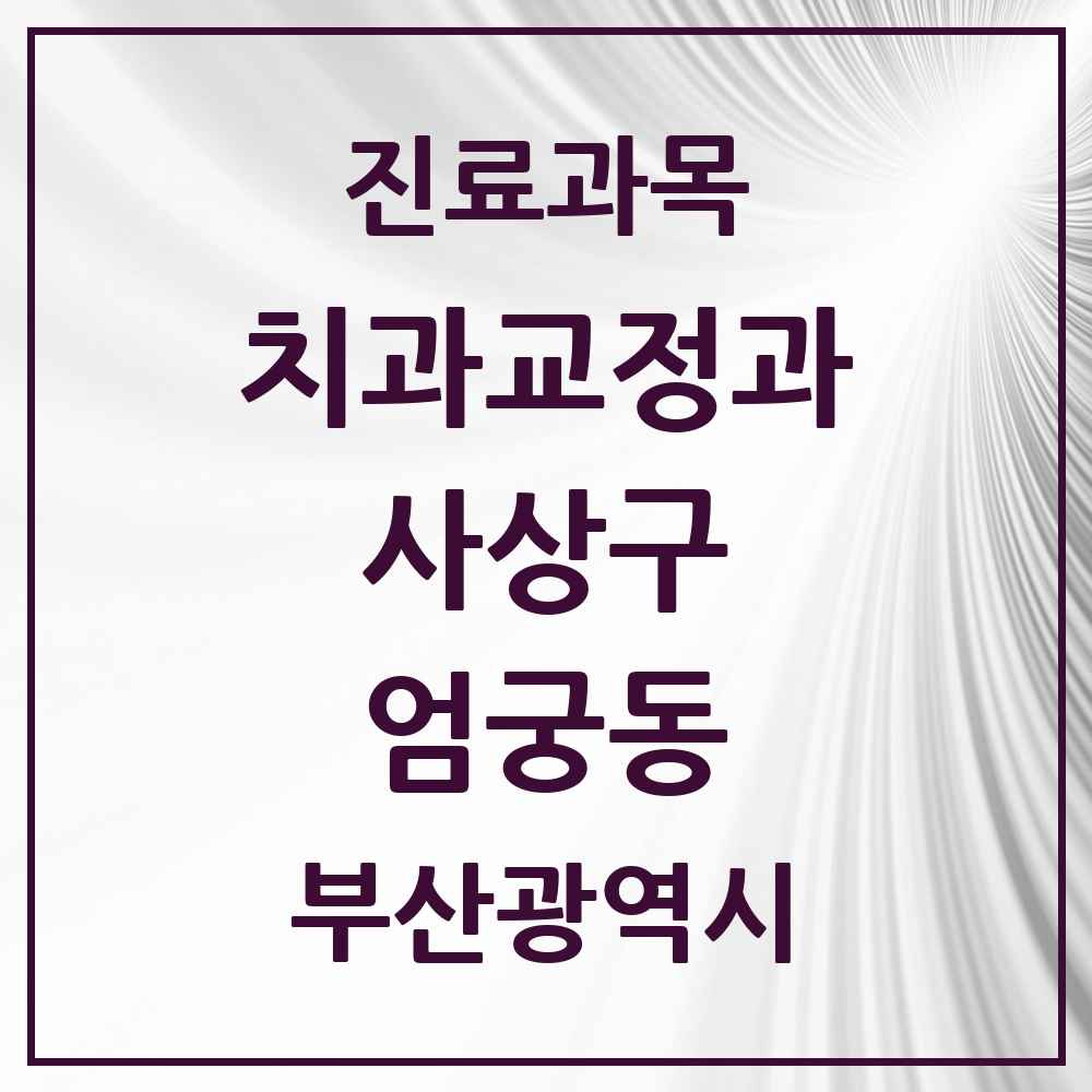 2025 부산광역시 사상구 엄궁동 교정치과 목록 2곳