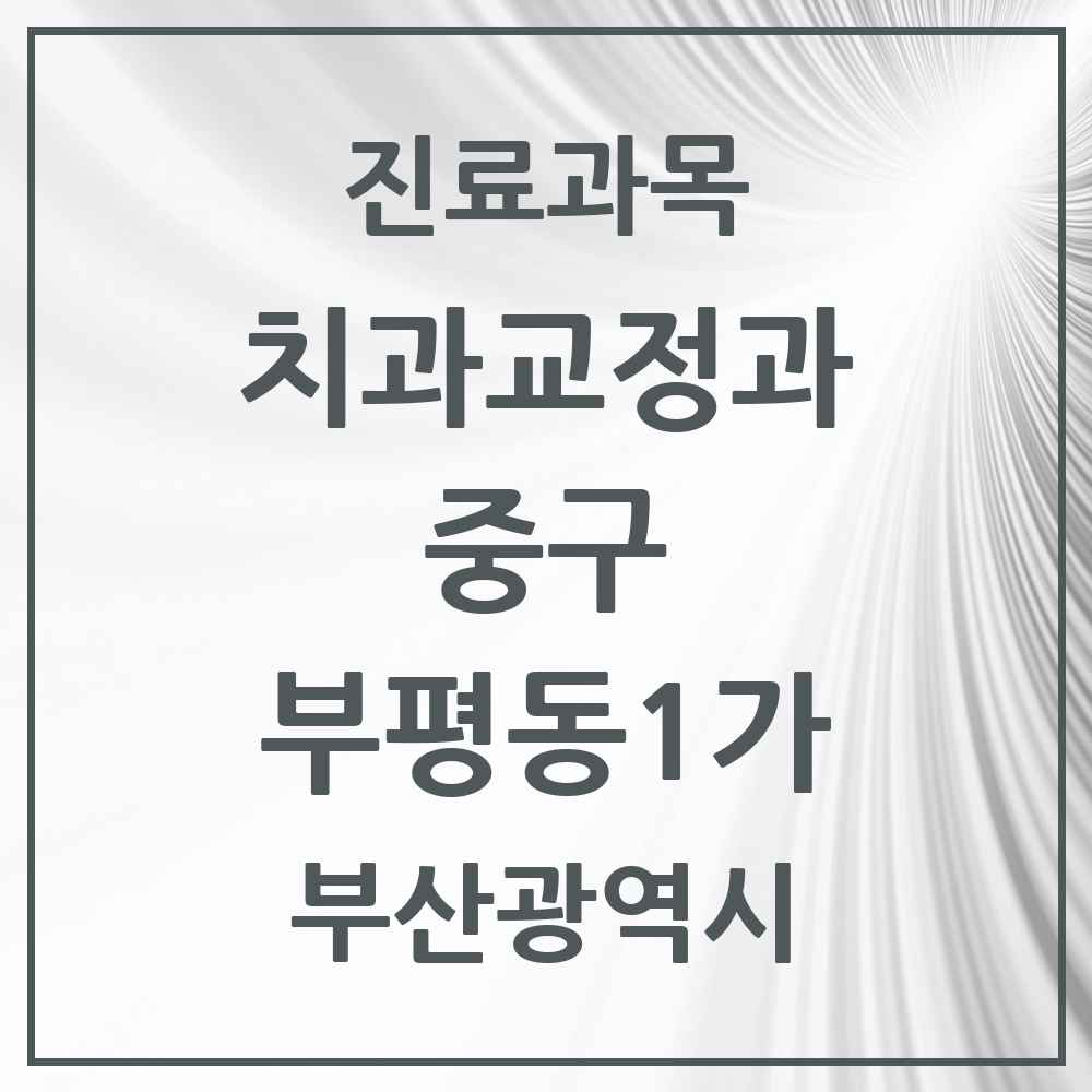 2025 부산광역시 중구 부평동1가 교정치과 목록 1곳