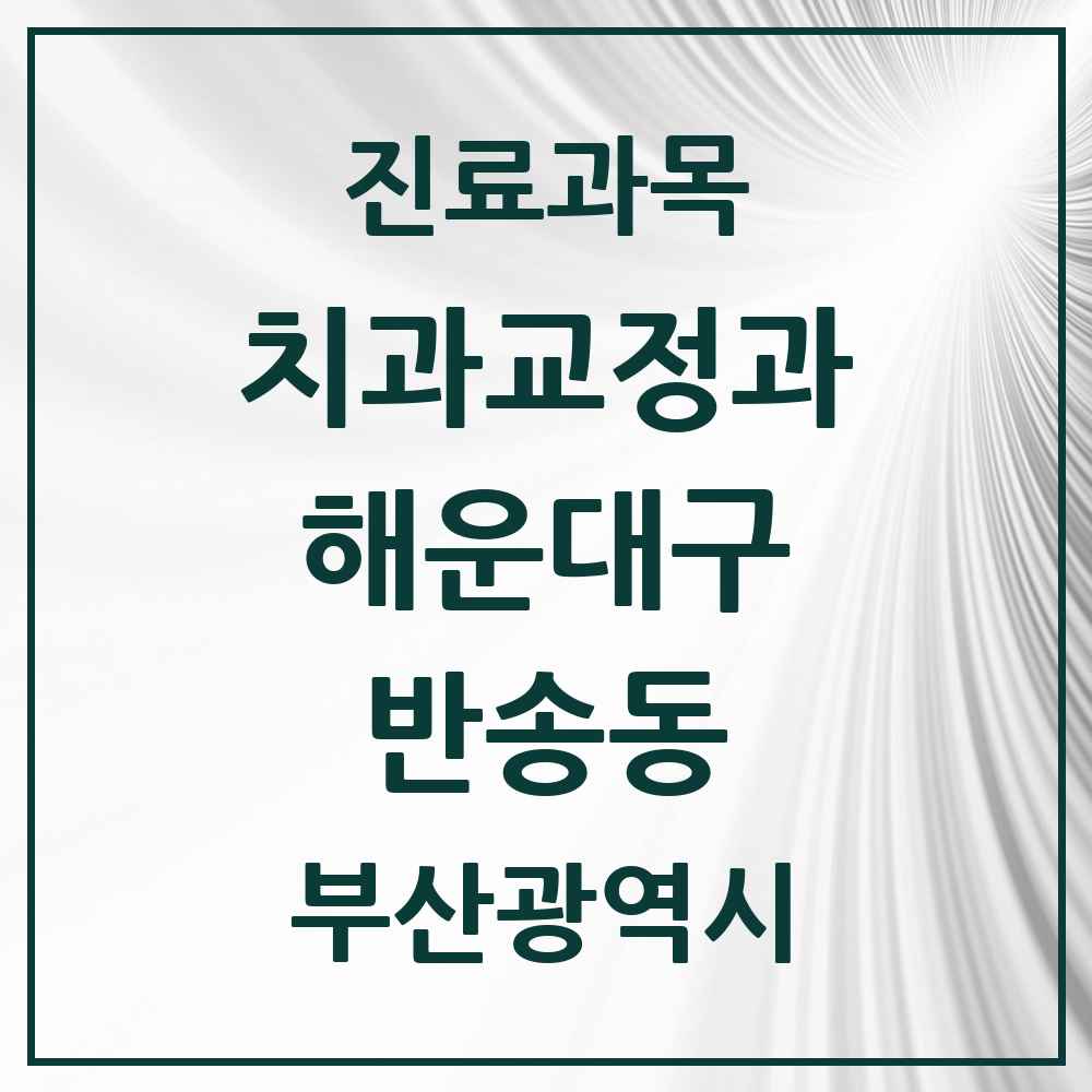 2025 부산광역시 해운대구 반송동 교정치과 목록 3곳