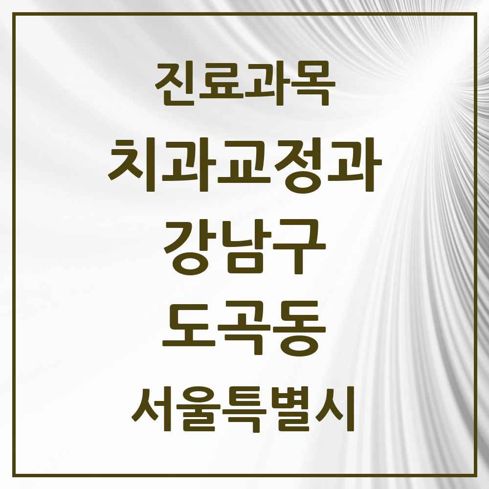 2025 서울특별시 강남구 도곡동 교정치과 목록 23곳